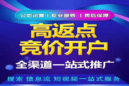 百度推广服务费案例分析：成功背后的秘密